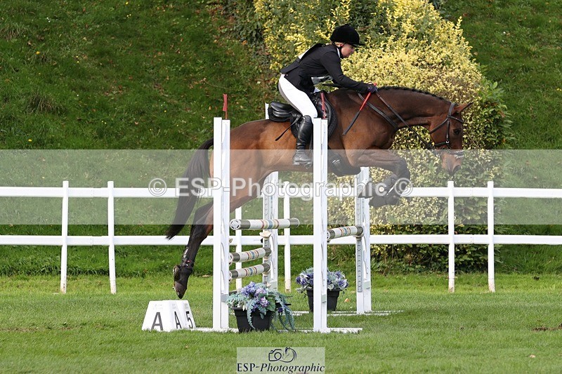 231022-132603-27706 - 478-SOARING.HEIGHTS-Samantha.Shaw-TrotUp+SJ