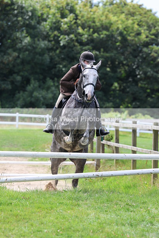 3E7A8871 - Class 6: Open Working Horse