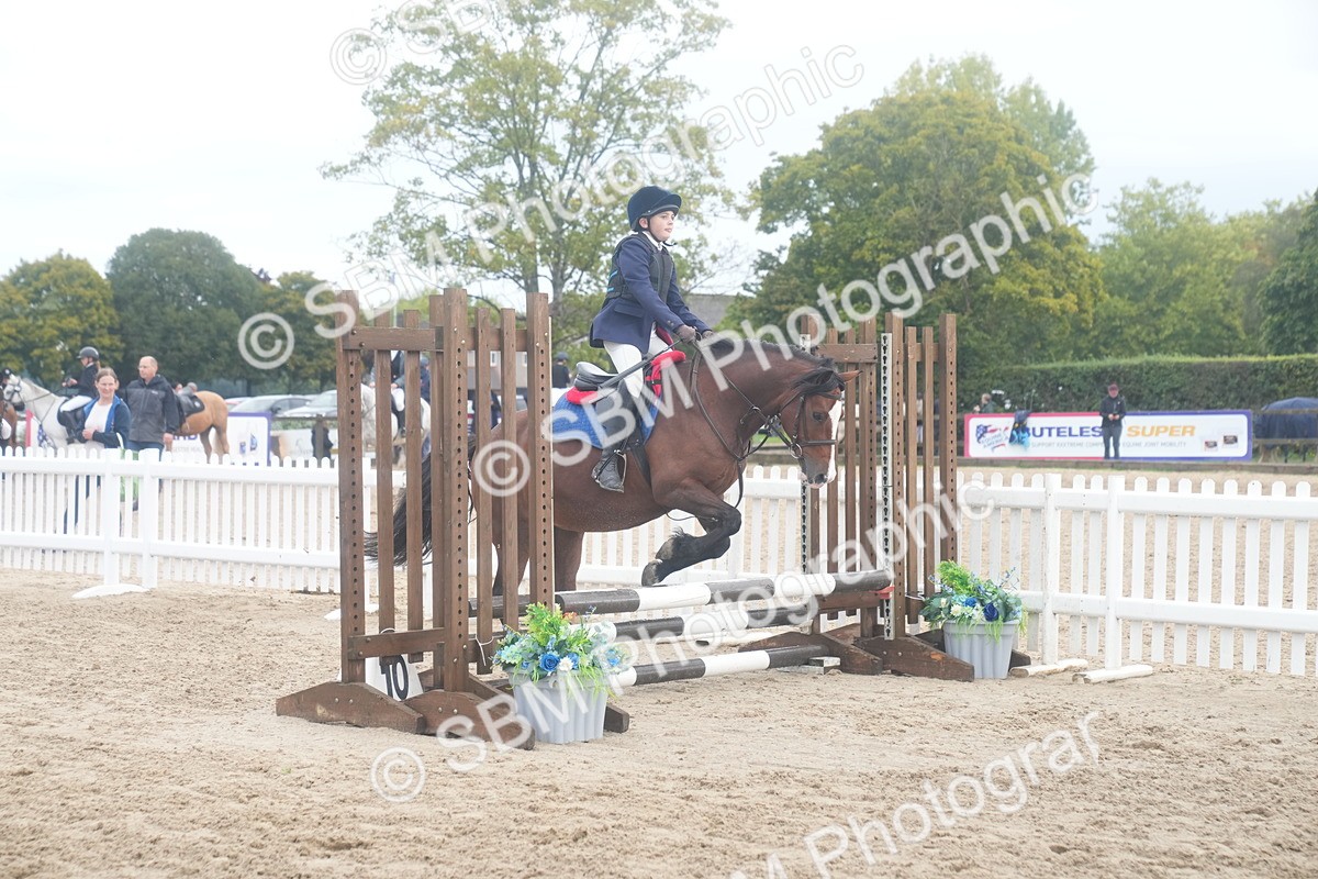 SBM_01898 - J54 - Clear Round 50cm