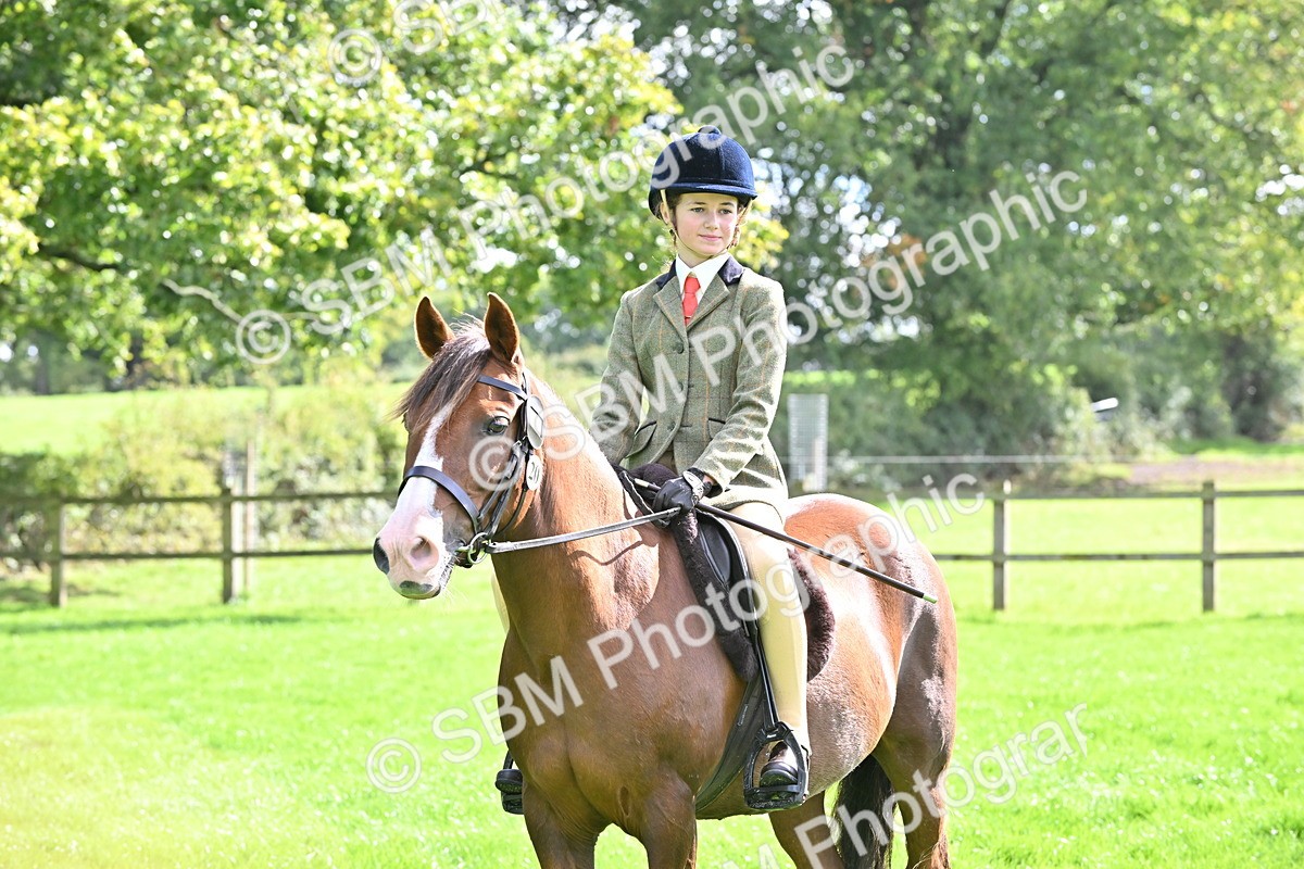SBM_44590 - S13 - Pony Club Pony