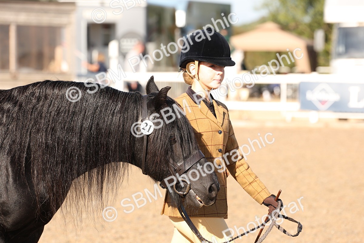 SBM_11712 - Class 204 - Young Handler 11 to 16 years