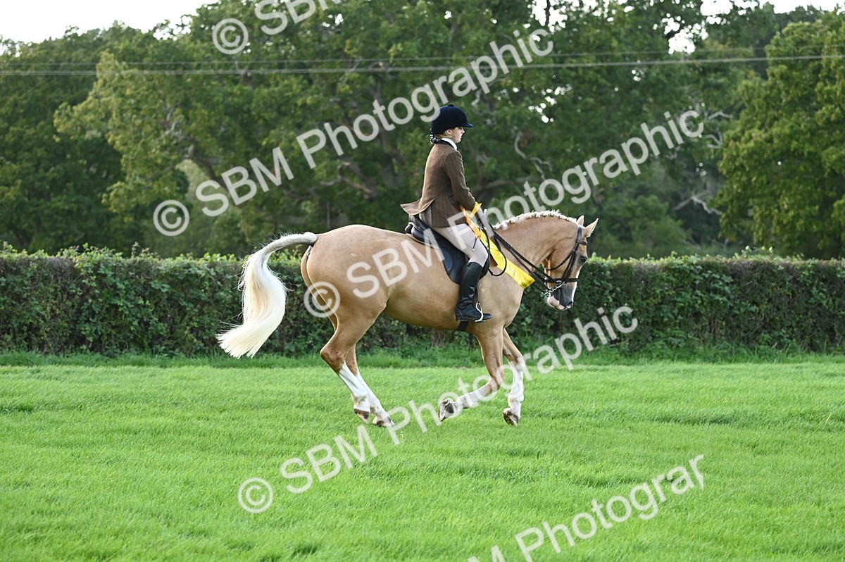 SBM_26510 - S6 - Novice & newcomer Ridden horse