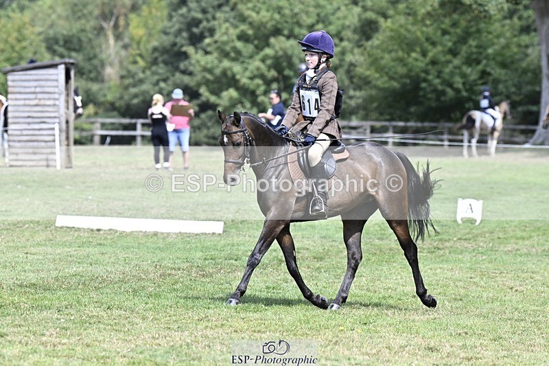 250822A-120625-22564 - DR 11.00 to 12.00