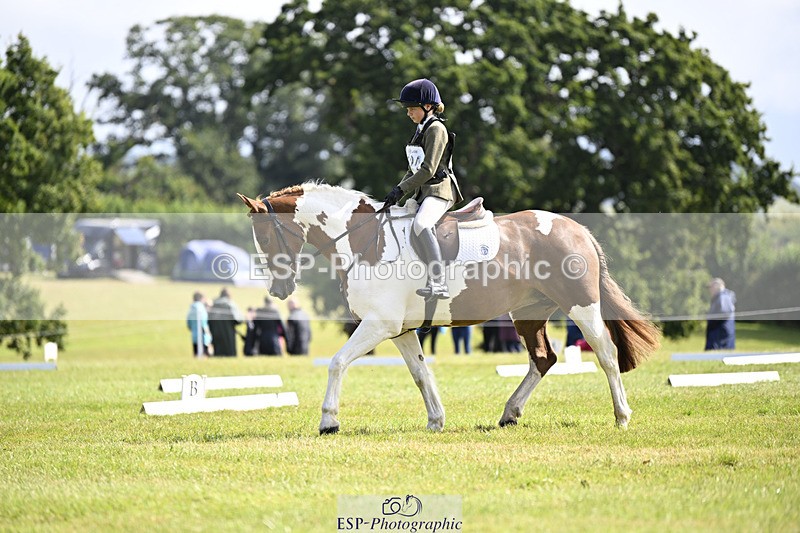 240824X-112328-25853 - D80 Section E and F 11.00 to 12.00