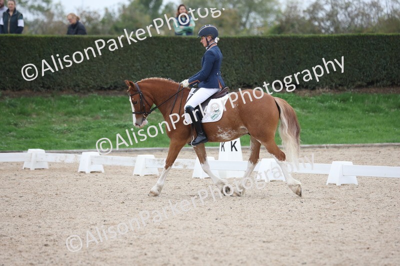 20251011-0396 - Class 4 - Novice 2