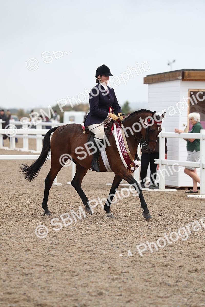 SBM_21683 - Class 602 - 2025 Area - Ridden Veteran
