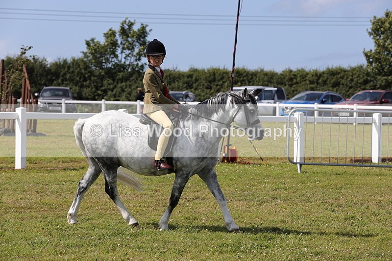 1X9A5481 - M&M Mini Ridden Championship