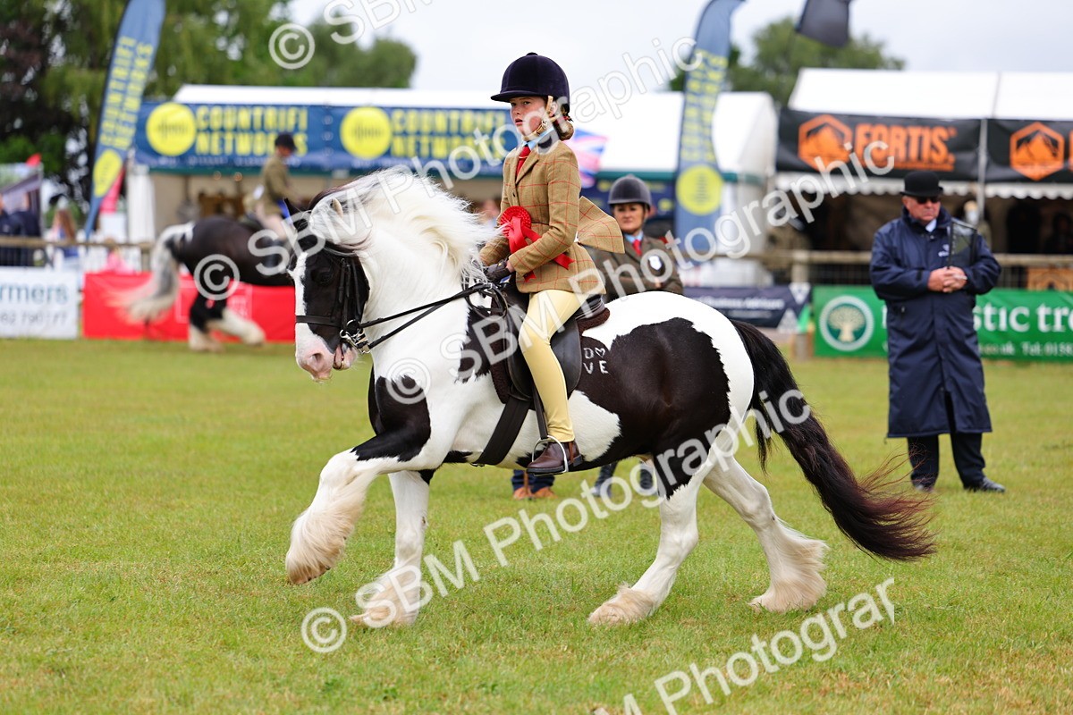 SBM_02633 - Class 9-11 Side Saddle including LIHS Rising Star Ladies Show Horse