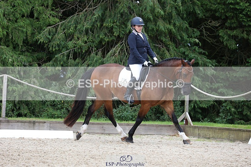 230812-142956-04437 - Cls 5 Novice Bronze 13.40 to 14.45 break