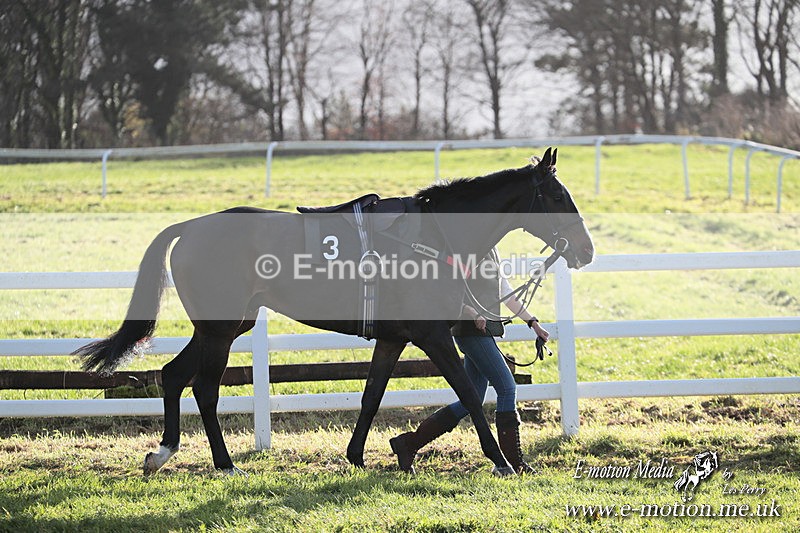 PtP 011224 456 - Hursley Hambledon Point-to-Point Larkhill 01/12/24