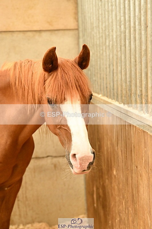 250821B-141019-00489 - Stable Shots and Group Photo