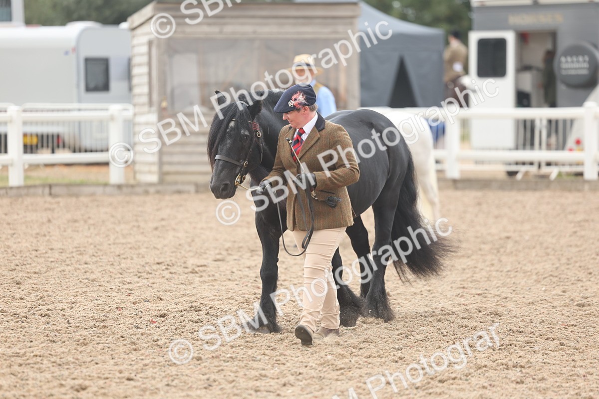 SBM_03288 - Class 16 - IH M&M Wildcard