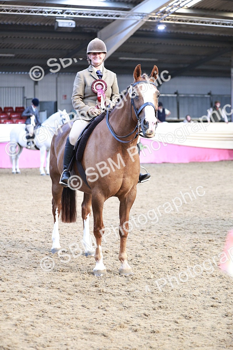 SBM_09131 - Class 12R - Regional Ridden Pre-Vet