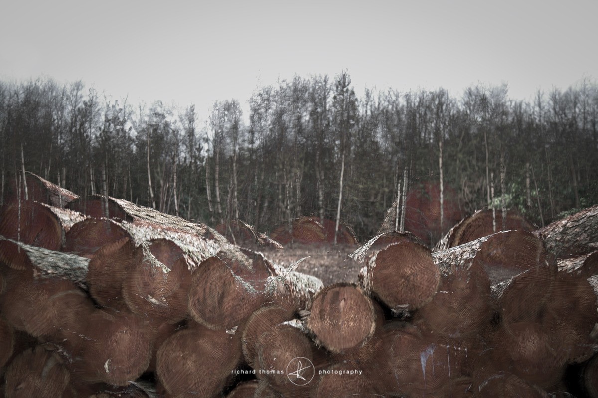 Stacked - ALTERED REALITY