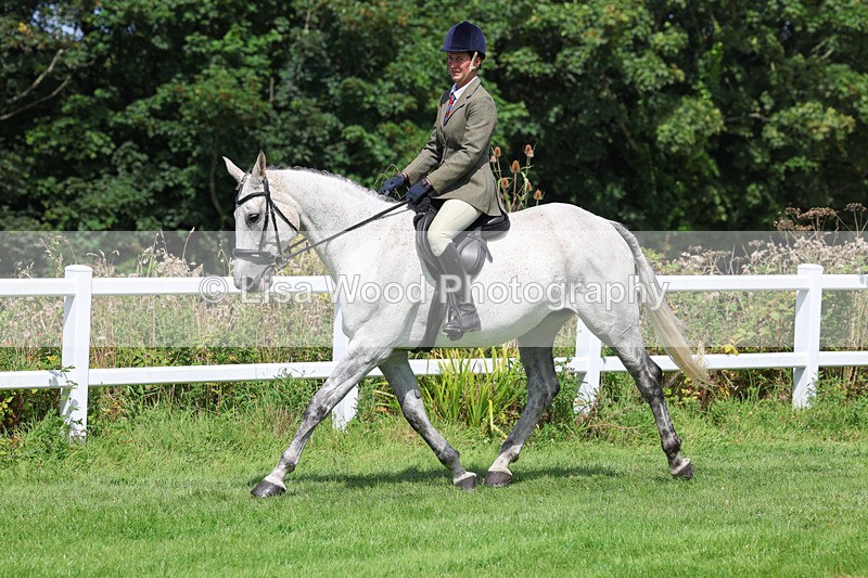 3E7A8693 - Class 5: Working Show Horse