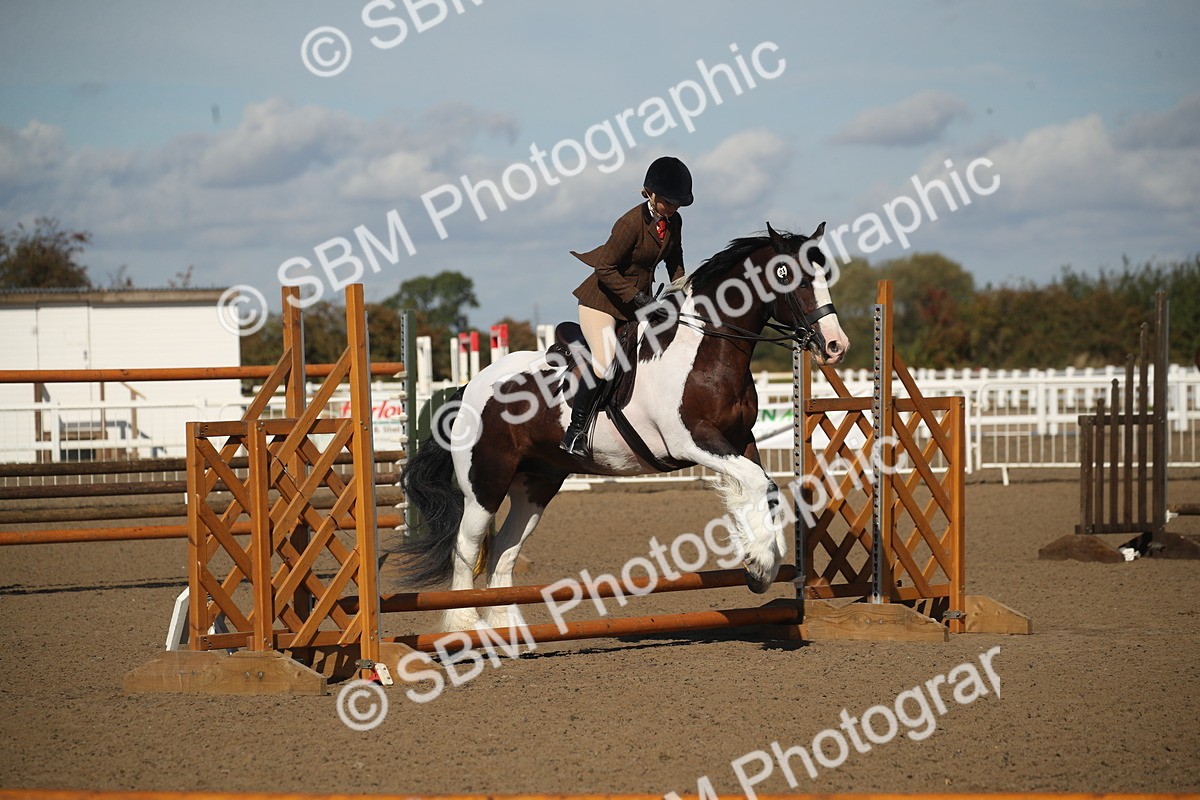 SBM_12739 - Class 504b - Junior Working Veteran - 40cm (20+)