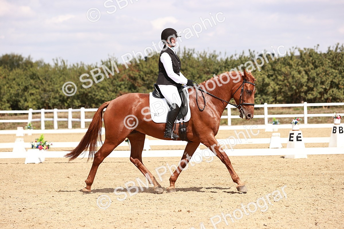 SBM_018504 - Class 17 - Novice 6