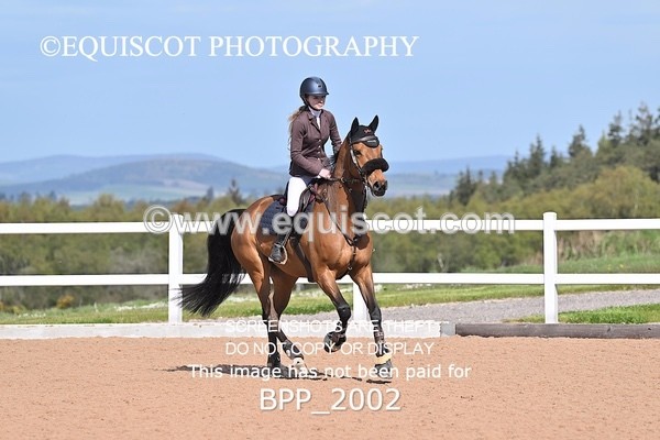 BPP_2002 - CLASS 3 - FRI - Senior British Novice/90cms Open