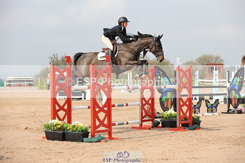 250424-105631-03306 - Cls 33 Young Horse 7yr old