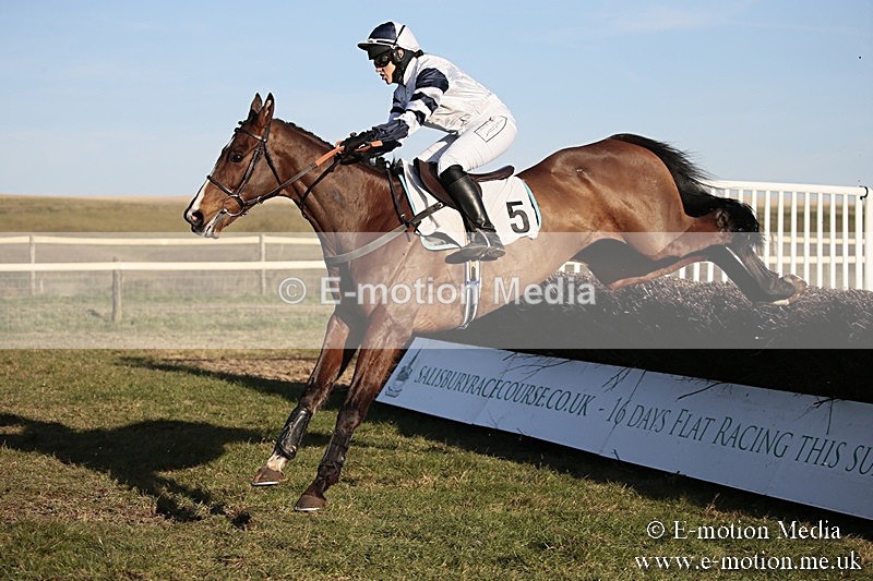 PtP 240218 682 - Vine & Craven Hunt Point-to-Point Barbury racecourse 24/02/18