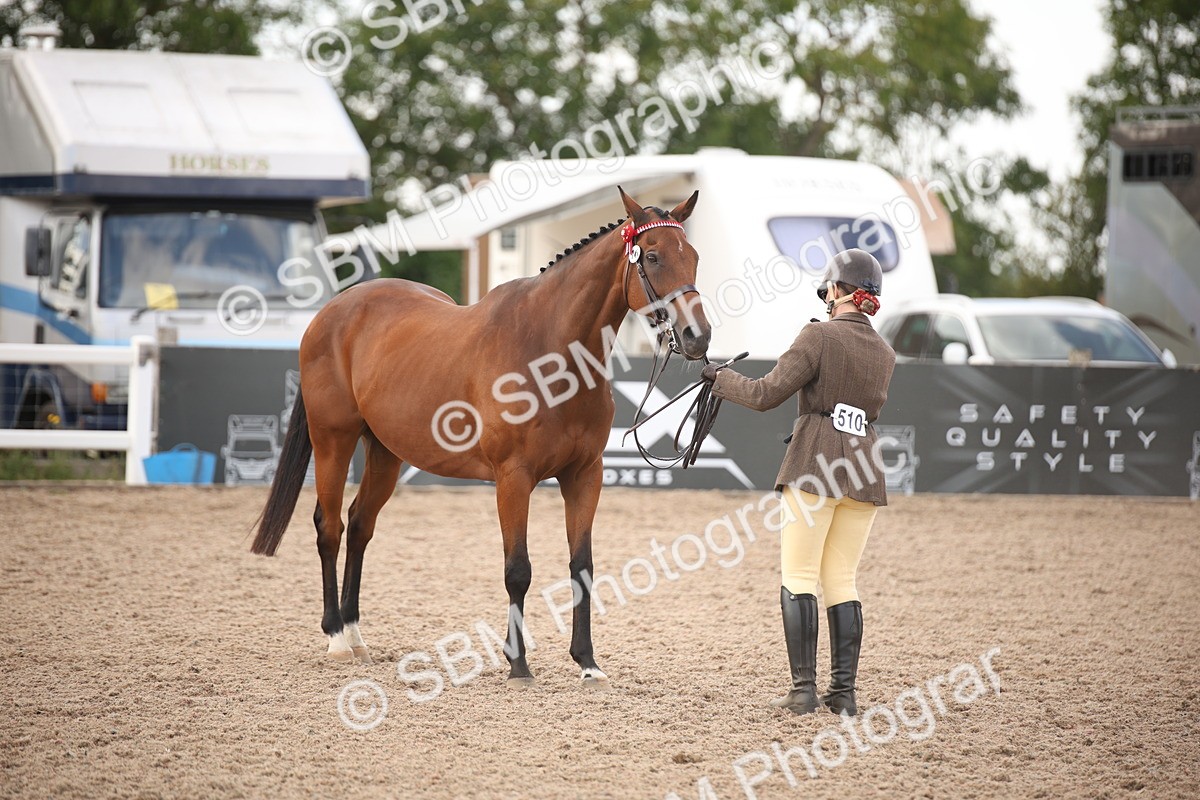 SBM_08229 - Class 27 - IH Competition Horse-Pony