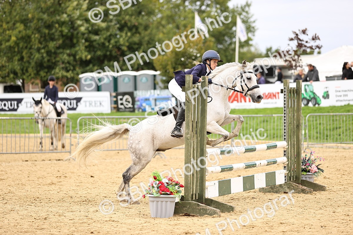 SBM_66608 - J17 - Junior Pony 80cm Championship