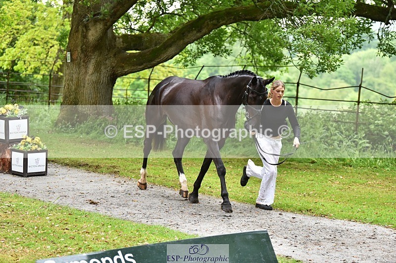 240522-163132-00976 - 209-COOLEY_DJANGO-Lottie_Royle