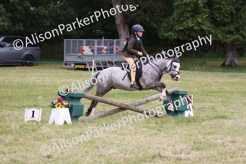 20260614-3112 - Class 22 - Open Working Hunter