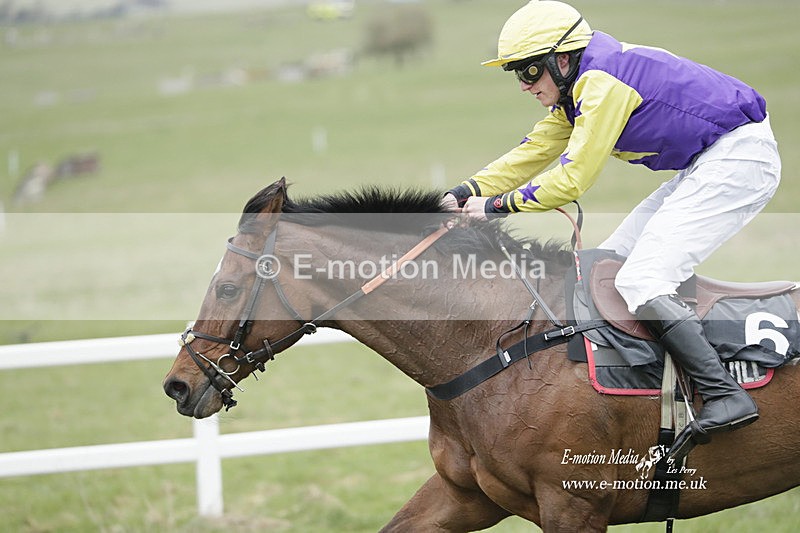 PtP 260323 0852 - New Forest Hounds Point-to-Point Larkhill 26/03/23