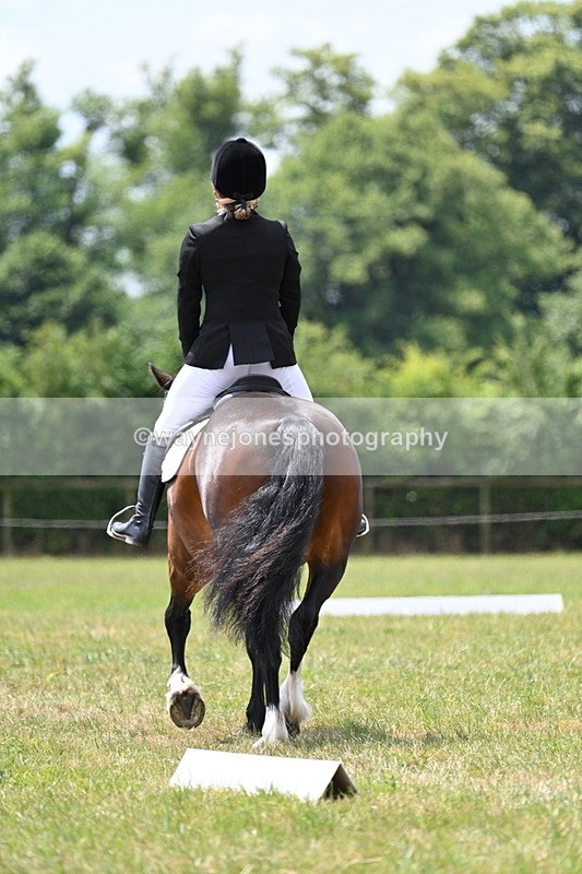 WJ7_5591 - Time 11:52 to 12:10