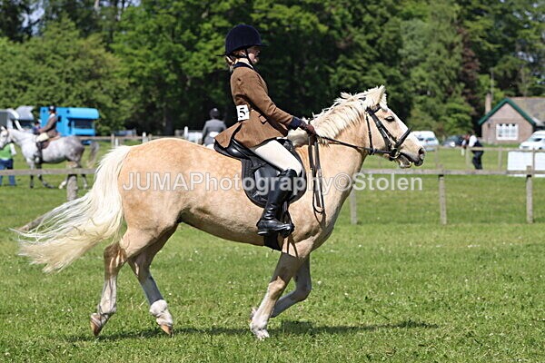 IMG_4265 - Working Hunter