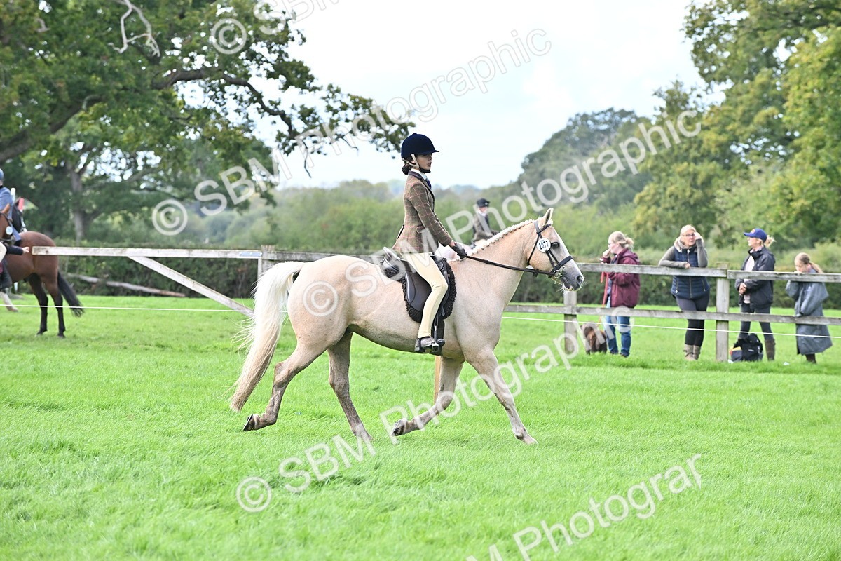 SBM_44496 - S13 - Pony Club Pony