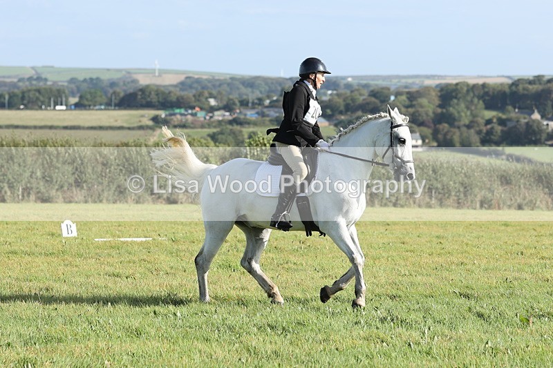 JPP_7893 - Class 2A: Trekenning Open: Dressage