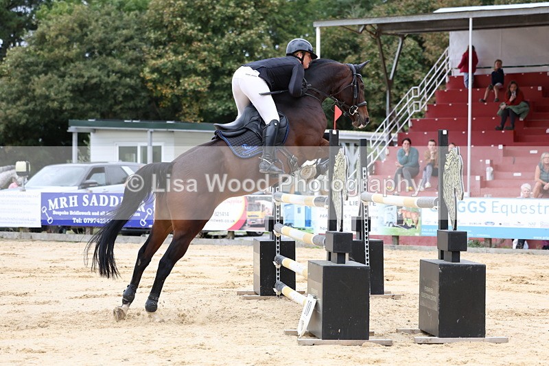 3E7A3393 - Class 9: Senior Foxhunter/1.20 open