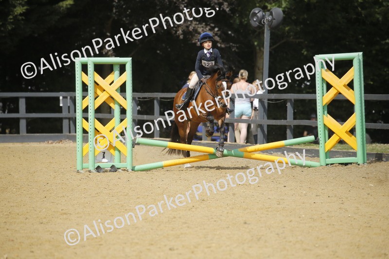 20250622-3863 - 50cm