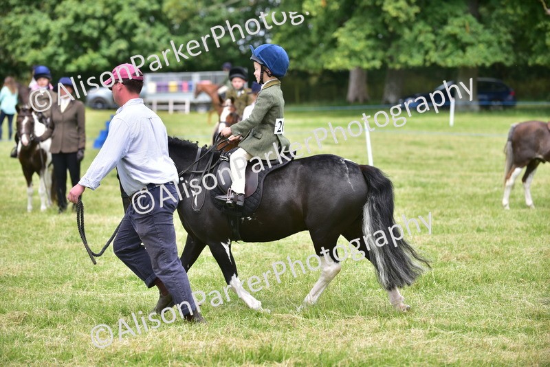 20260614-1381 - Class 11b - Lead Rein Pony (Plaited)