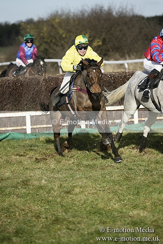 PtP 070118 -265 - Larkhill Racing Club Point to Point Larkhill 07/01/2018
