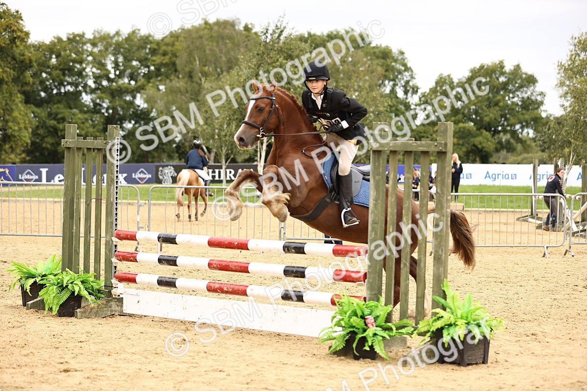SBM_66448 - J17 - Junior Pony 80cm Championship