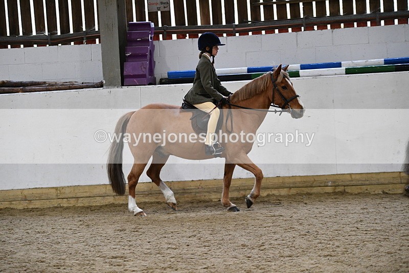 WJ5_7177 - Class 11 Ridden PC - RC Pony