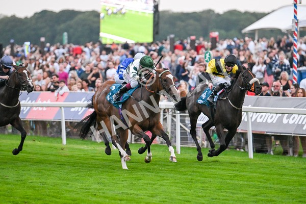 250725-Race 6-Luna A Inbhir Nis-6111 - Race 6 8.23pm Sky Bet Go-Racing-In-Yorkshire Summer Festival Handicap