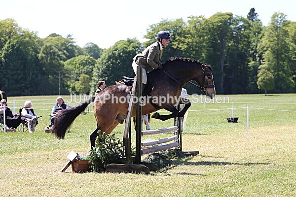 IMG_4042 - Working Hunter