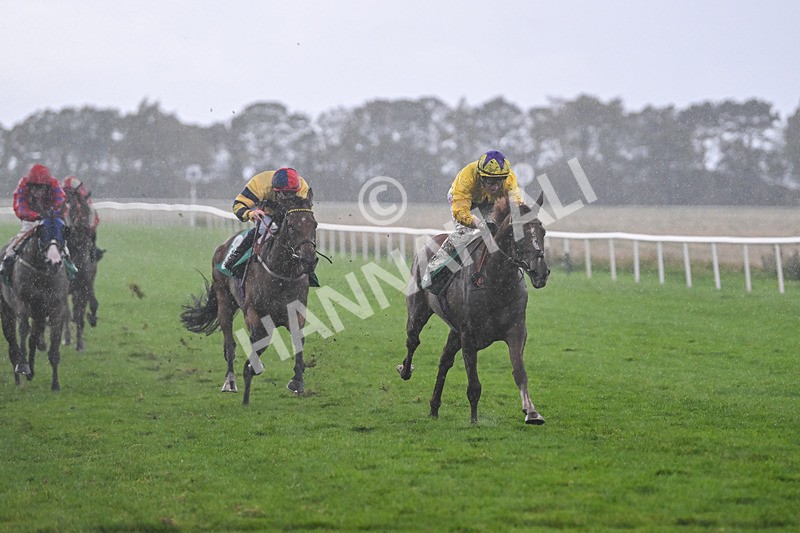 150925-Race 6-Day Of Grace-3137 - Race 6