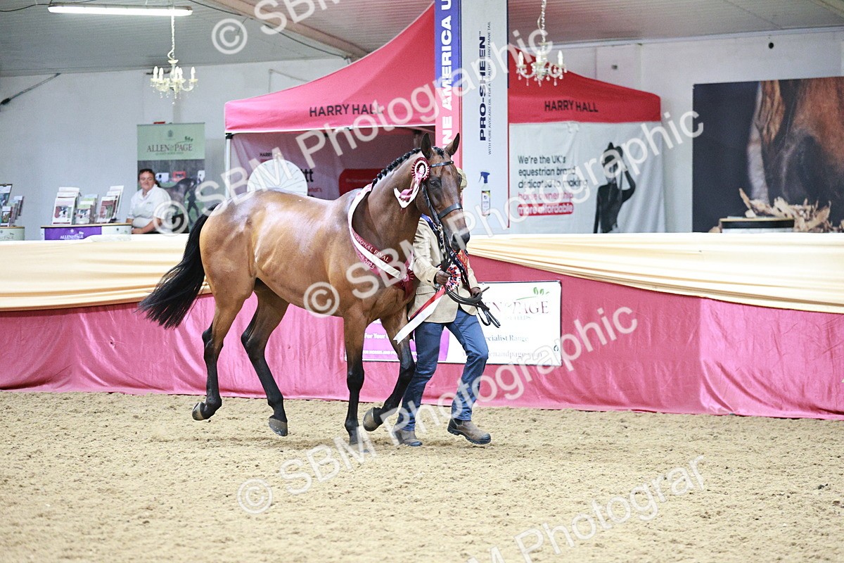 SBM_06681 - Regional - IH Champs