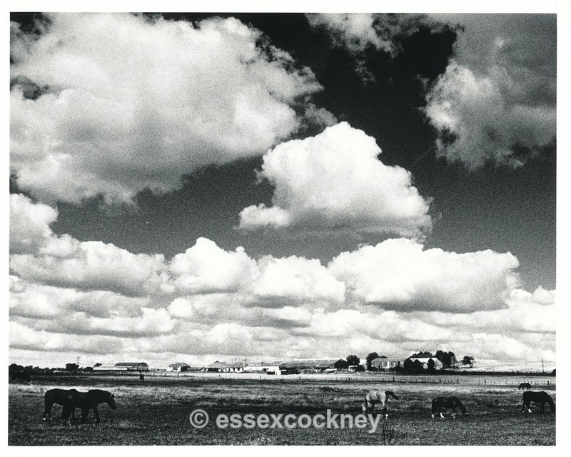  - Benfleet Essex