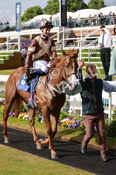 yr21052022r7-47 - Race 7: 5:15pm Reg Bond Always and Forever Stakes