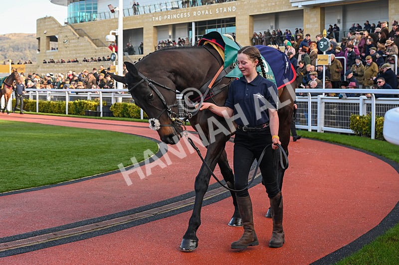 250125-Race 3-Imperial Saint-3212 - Race 3