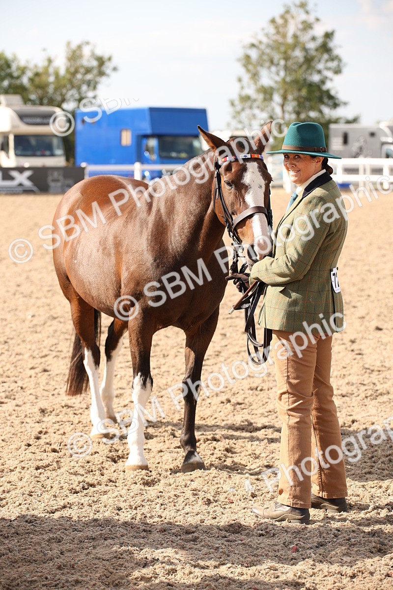 SBM_07433 - Class 26 IH Foreign Breeds -Part bred