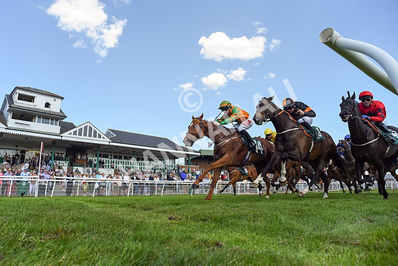 120525-Race 5-Irish Dancer-4113 - Race 5