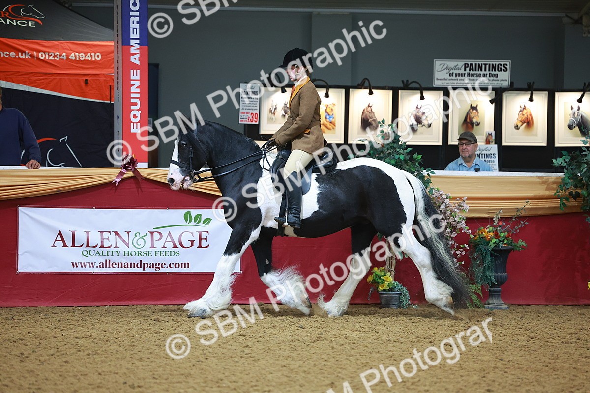 SBM_09738 - Class 102 - HOYS Veteran Qualifier - Ridden Veteran