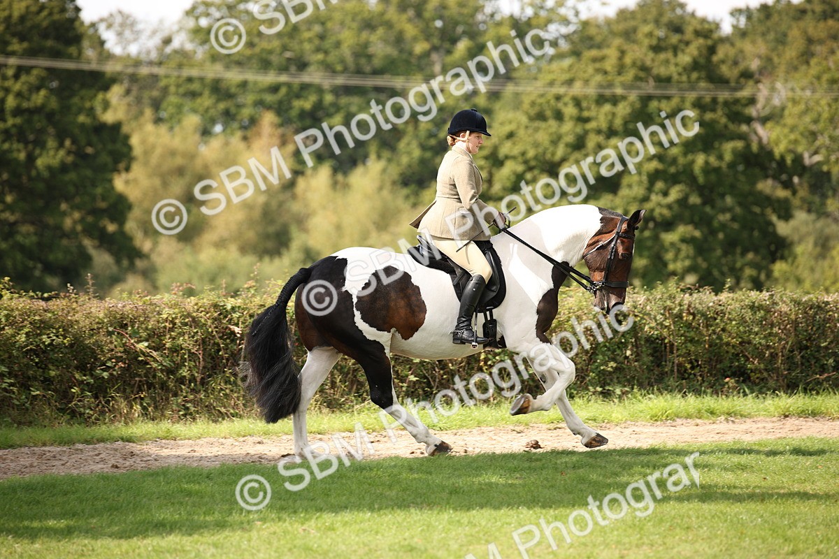 SBM_70079 - S65 - Piebald & Skewbald Horse Ridden